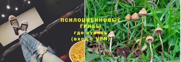 2c-b Надым