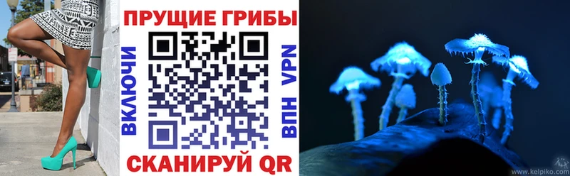 Купить где  Анжеро-Судженск  Галлюциногенные грибы Magic Shrooms 